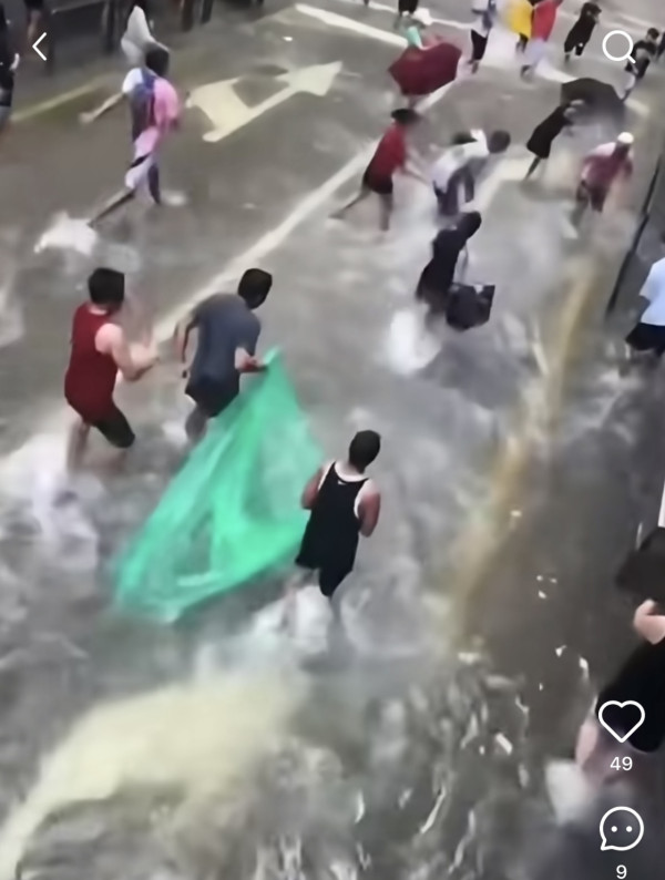 颱風樺加沙橫掃澳門海水倒灌街道變池塘  居民徒手捉大魚