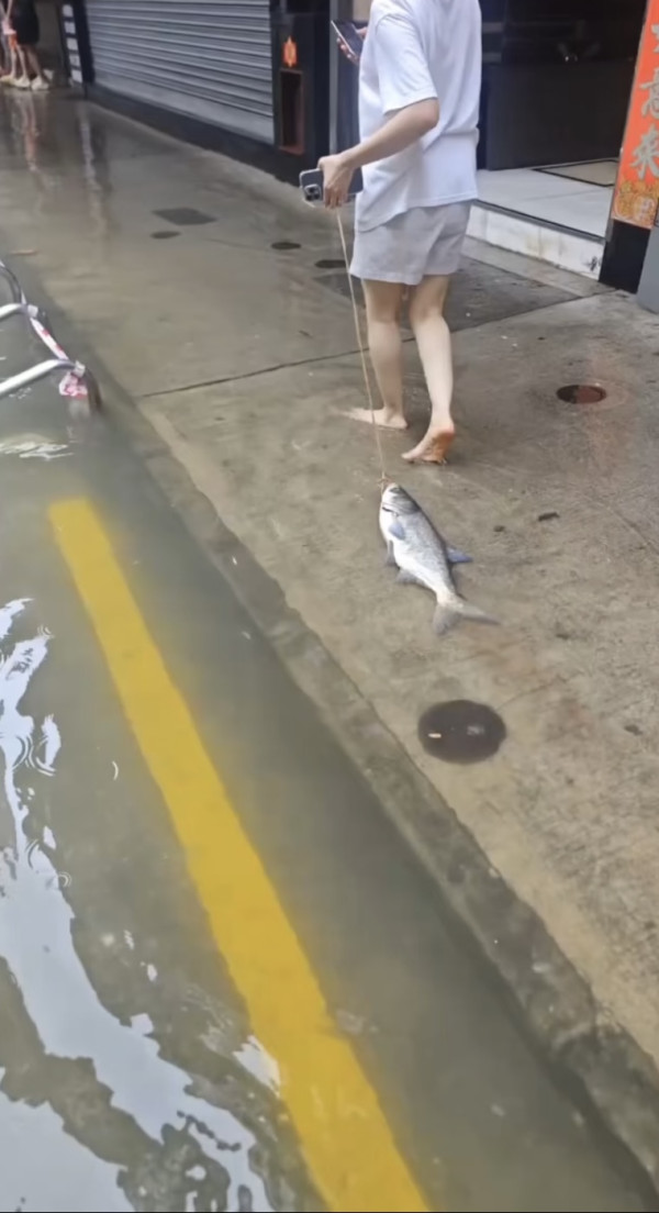 颱風樺加沙橫掃澳門海水倒灌街道變池塘  居民徒手捉大魚