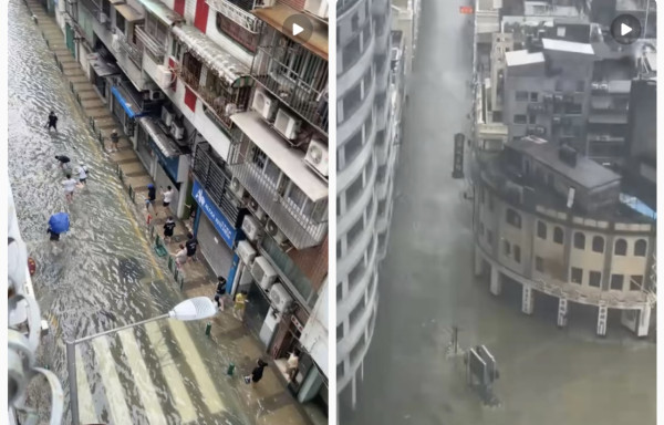 颱風樺加沙橫掃澳門海水倒灌街道變池塘  居民徒手捉大魚