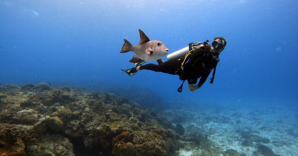 台女沖繩潛水不適浮上水面後命危 當地月內第二宗台遊客潛水意外 