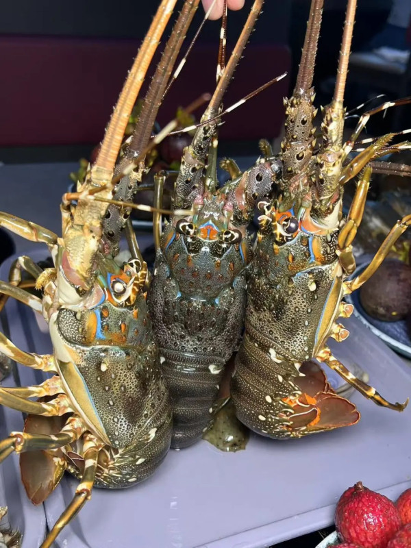 曼格姿造·活海鮮·榴蓮自助。圖片來源:小紅書:芝士可可酱 曼格姿造·活海鮮·榴蓮自助。圖片來源:小紅書:芝士可可酱