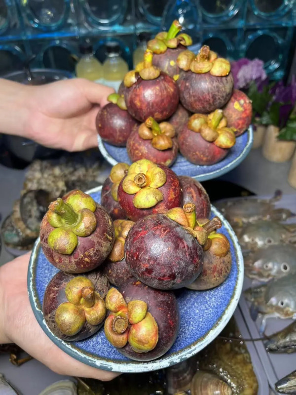 曼格姿造·活海鮮·榴蓮自助。圖片來源:小紅書:芝士可可酱 曼格姿造·活海鮮·榴蓮自助。圖片來源:小紅書:芝士可可酱