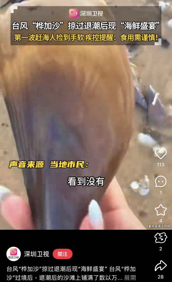 颱風樺加沙過境汕尾海灘驚現海鮮山！居民2小時狂撿百斤！官方急籲千萬別吃（圖片︰小紅書）