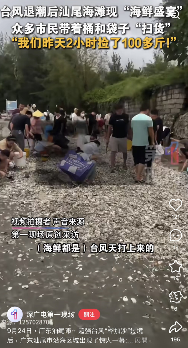 颱風樺加沙過境汕尾海灘驚現海鮮山！居民2小時狂撿百斤！官方急籲千萬別吃（圖片︰小紅書）