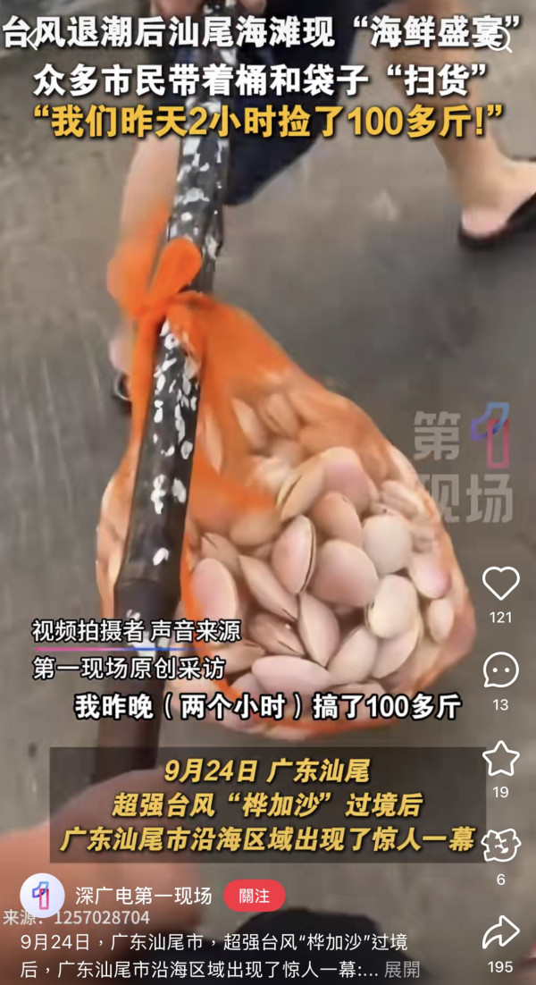 颱風樺加沙過境汕尾海灘驚現海鮮山！居民2小時狂撿百斤！官方急籲千萬別吃（圖片︰小紅書）
