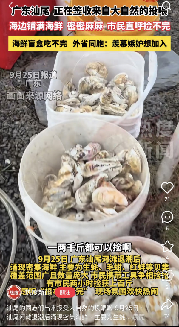 颱風樺加沙過境汕尾海灘驚現海鮮山！居民2小時狂撿百斤！官方急籲千萬別吃（圖片︰小紅書）