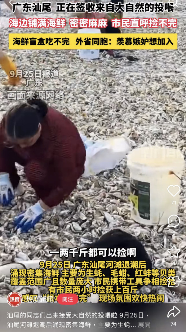 颱風樺加沙過境汕尾海灘驚現海鮮山！居民2小時狂撿百斤！官方急籲千萬別吃（圖片︰小紅書）