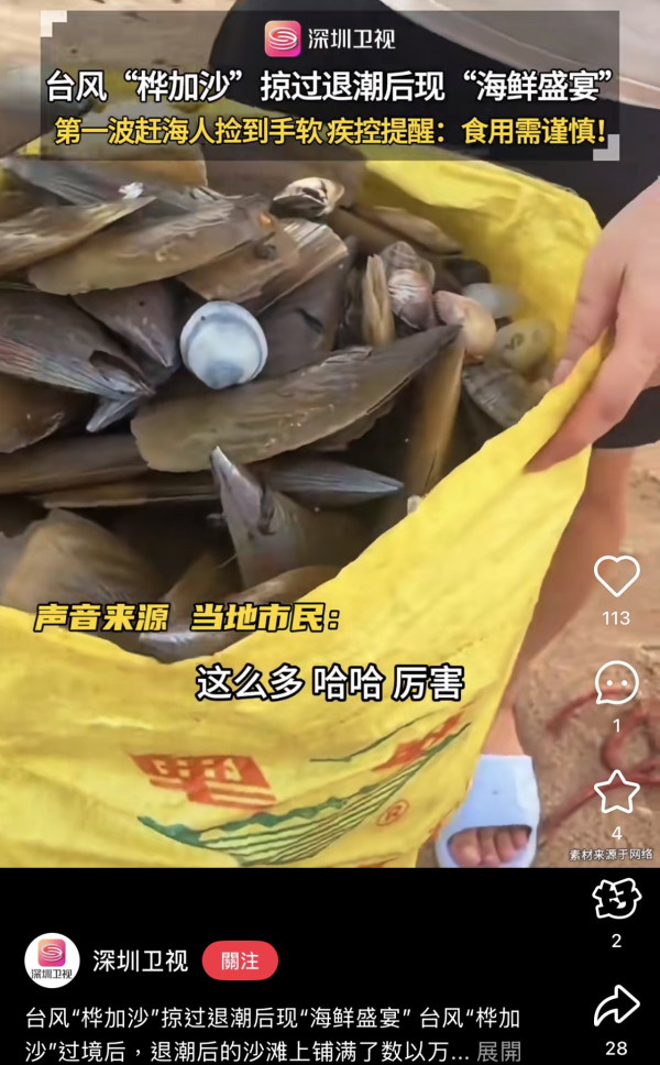 颱風樺加沙過境汕尾海灘驚現海鮮山！居民2小時狂撿百斤！官方急籲千萬別吃（圖片︰小紅書）
