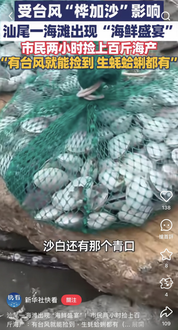 颱風樺加沙過境汕尾海灘驚現海鮮山！居民2小時狂撿百斤！官方急籲千萬別吃（圖片︰小紅書）