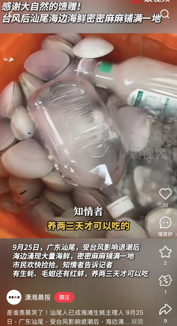 颱風樺加沙過境汕尾海灘驚現海鮮山！居民2小時狂撿百斤！官方急籲千萬別吃（圖片︰小紅書）