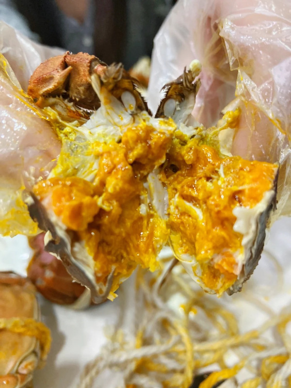 食神韜韜推介大閘蟹 限時優惠$11隻!爆膏江蘇蟹乸蟹公$99三隻+包大閘蟹紫蘇葉