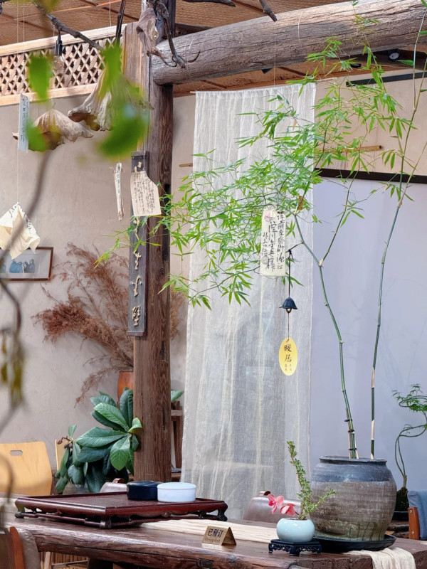 深圳寶安區東籬小院茶室(圖片:小紅書)