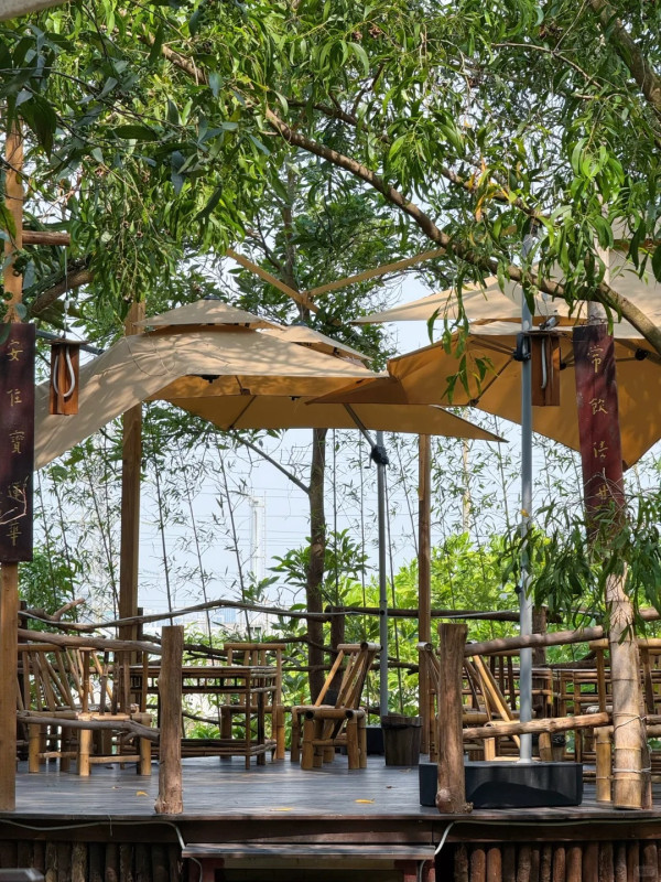 深圳寶安區東籬小院茶室(圖片:小紅書)