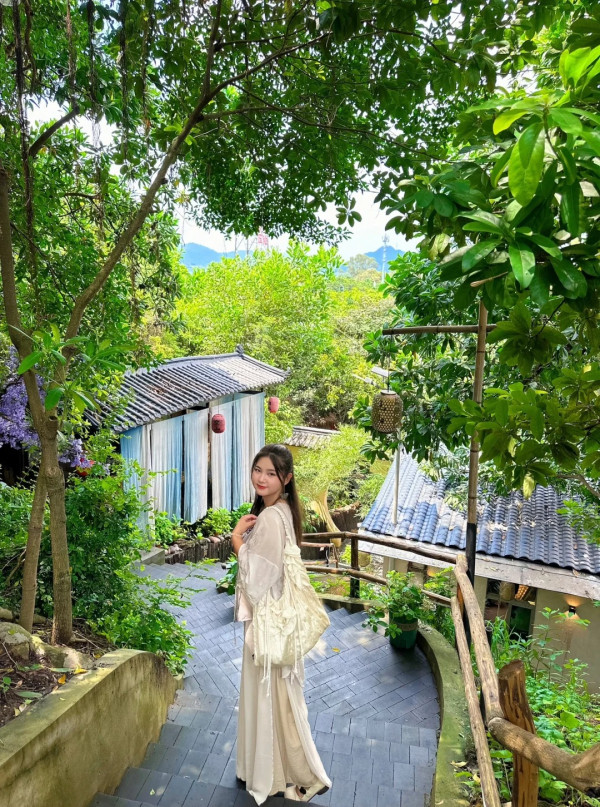 深圳寶安區東籬小院茶室(圖片:小紅書)