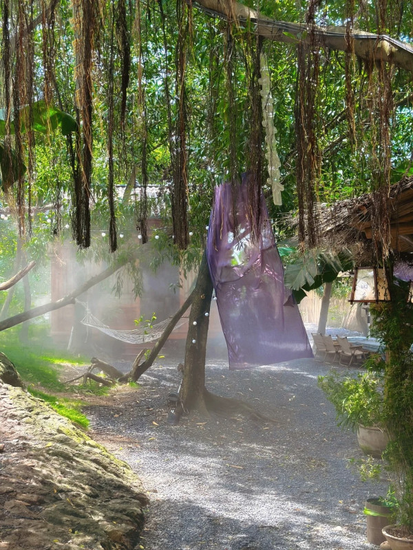 深圳寶安區東籬小院茶室(圖片:小紅書)