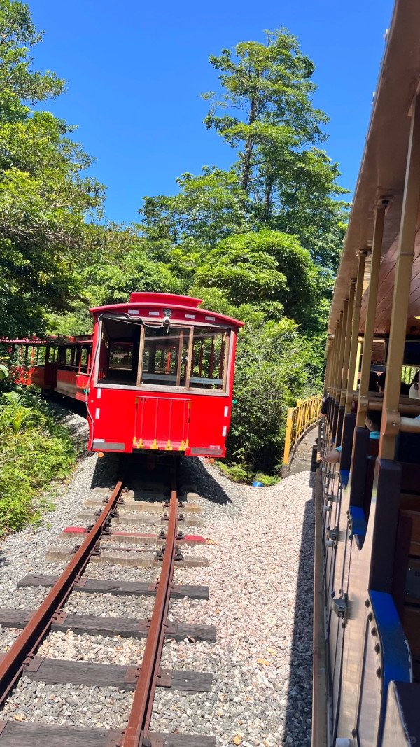 深圳茶溪谷(圖片:小紅書)