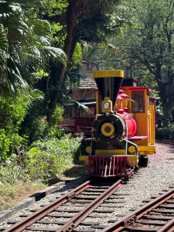 深圳茶溪谷(圖片:小紅書)