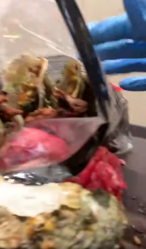 荃灣廣場海鮮放題驚揭「食霸」！男女偷藏大量海鮮肥牛 嚇窒職員：成袋呀？ 黃傑龍提醒一事 小心原告變被告