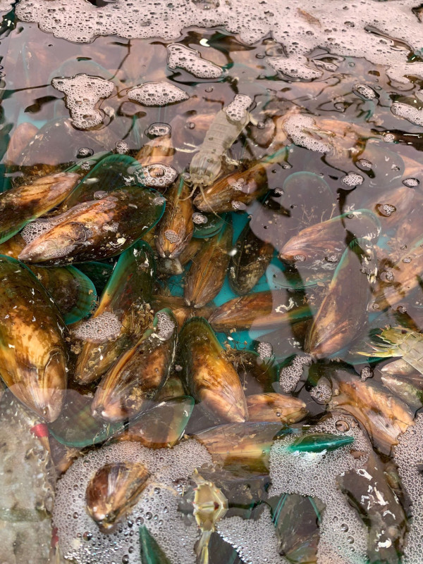 附千海水產回應！荃灣廣場海鮮放題驚揭「食霸」！男女偷藏大量海鮮肥牛 嚇窒職員：成袋呀？ 黃傑龍提醒一事 小心原告變被告！