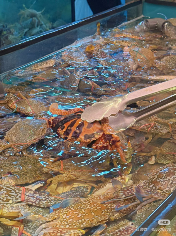 千海水產海鮮火鍋放題店（圖片：小紅書）