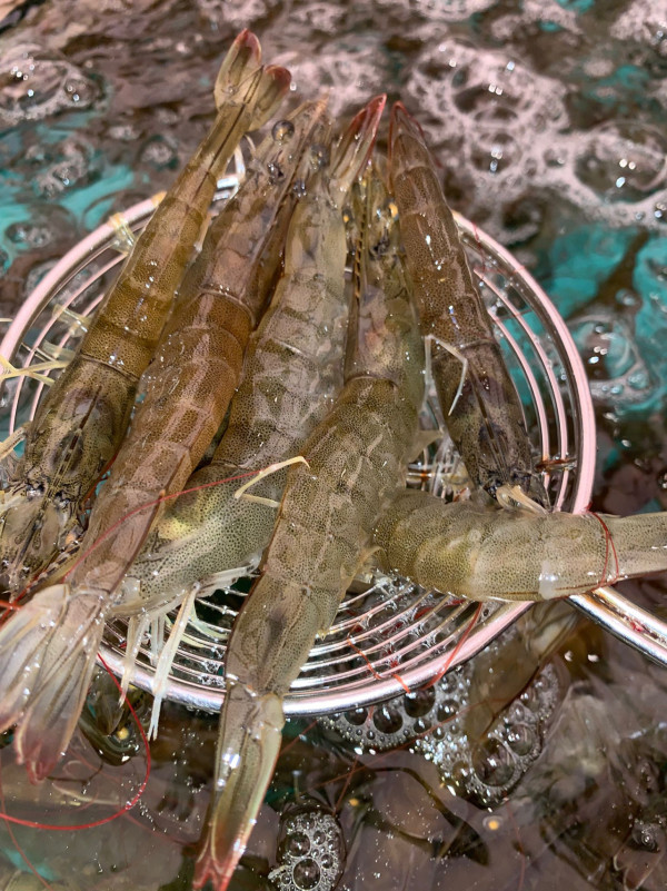 千海水產突發推4小時海鮮火鍋放題！人均$298 任食活蜆/海蝦/澳洲和牛/燒乳鴿/鵝肝多士！