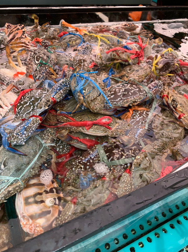 千海水產突發推4小時海鮮火鍋放題！人均$298 任食活蜆/海蝦/澳洲和牛/燒乳鴿/鵝肝多士！