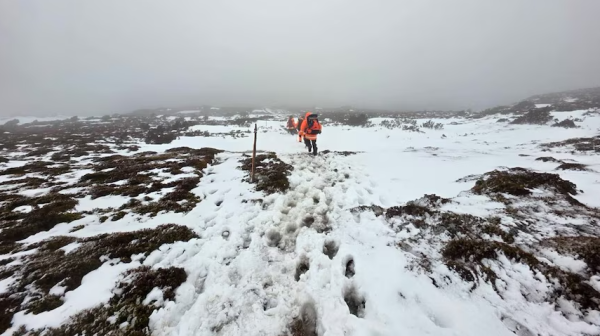 內地女慘被凍死全家零裝備澳洲行山！中國大使館急發提醒 