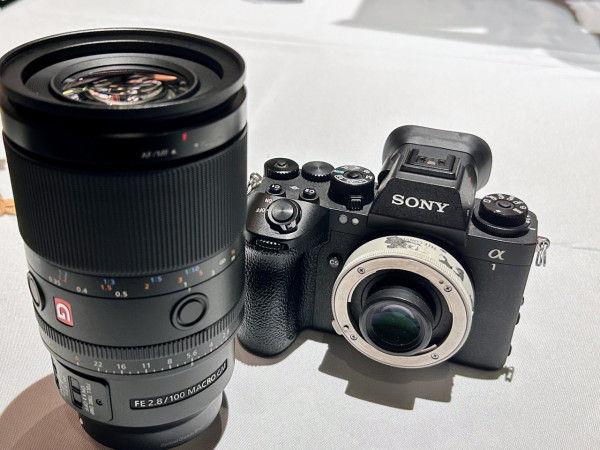 感受微距生態攝影魅力 實試Sony FE 100mm F2.8 Marco GM OSS 防震畫質大提升