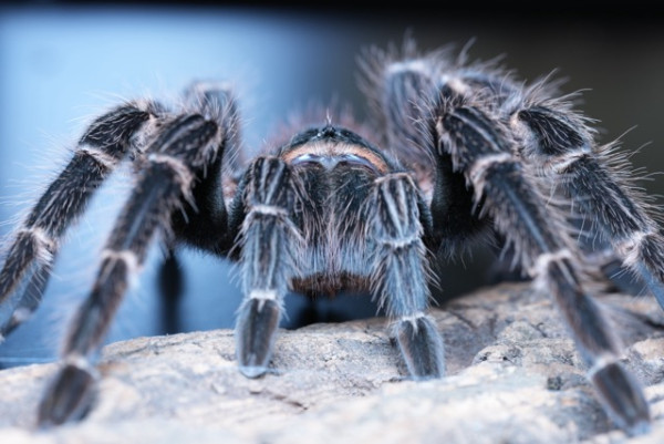 最強全片幅入門機？ 實試Sony A7 V 全片幅無反相機 AI追蹤 30FPS高速連拍 預拍攝下放