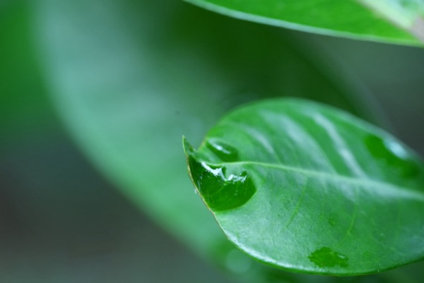 進階防水睡眠運動分析 實試 RingConn Gen 2 AIR 智能戒指 1點比上代優勝？