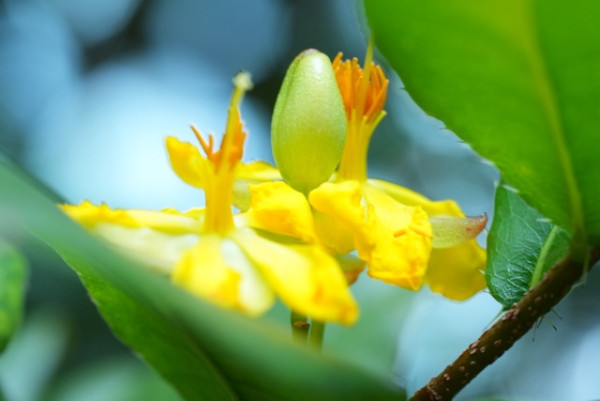 最強全片幅入門機？ 實試Sony A7 V 全片幅無反相機 AI追蹤 30FPS高速連拍 預拍攝下放