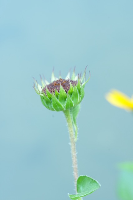 進階防水睡眠運動分析 實試 RingConn Gen 2 AIR 智能戒指 1點比上代優勝？