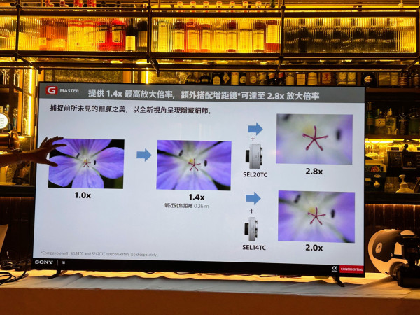 感受微距生態攝影魅力 實試Sony FE 100mm F2.8 Marco GM OSS 防震畫質大提升