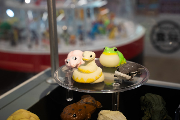 BANDAI「萬代盒玩部屋」登陸AIRSIDE 寶可夢高達潮玩新品 SEED FREEDOM打卡位