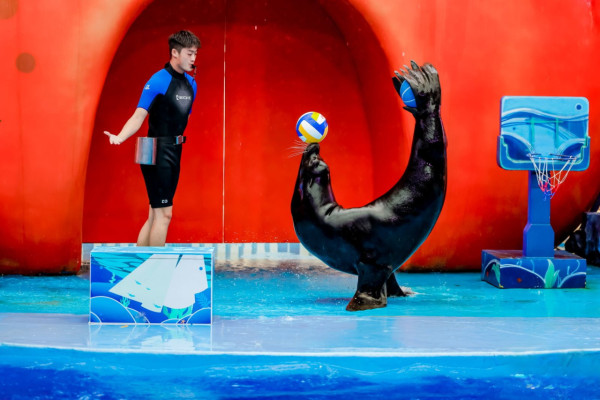 深圳鹽田小梅沙海洋世界︰套票划算!逾200海洋生物室內涼爽親子情侶必去
