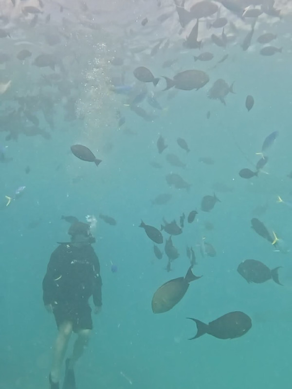 姜濤放假旅行潛水放鬆身心！罕甫半裸照大曬減肥成果 