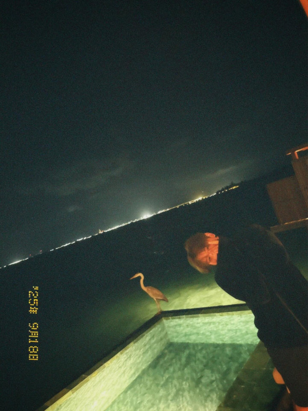 姜濤放假旅行潛水放鬆身心！罕甫半裸照大曬減肥成果 