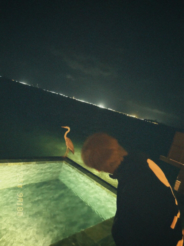 姜濤放假旅行潛水放鬆身心！罕甫半裸照大曬減肥成果 