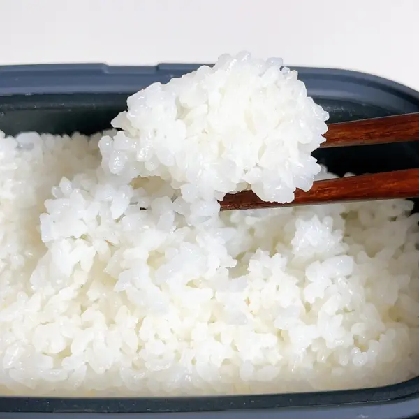 3COINS懶人微波爐料理盒！6合1煮食功能 煎魚＋煮飯＋炒菜＋炆肉 (附懶人食譜)