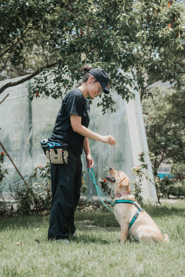 Doggo Fest 2025｜全港最大型狗狗嘉年華11月登陸西九！7千呎玩樂園/音樂表演/美食攤位