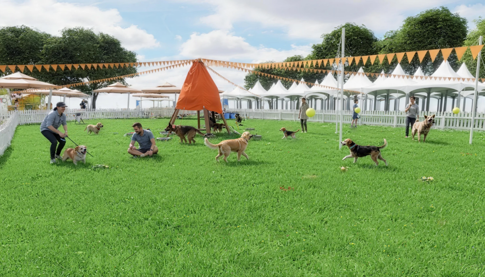 Doggo Fest 2025｜全港最大型狗狗嘉年華11月登陸西九！7千呎玩樂園/音樂表演/美食攤位