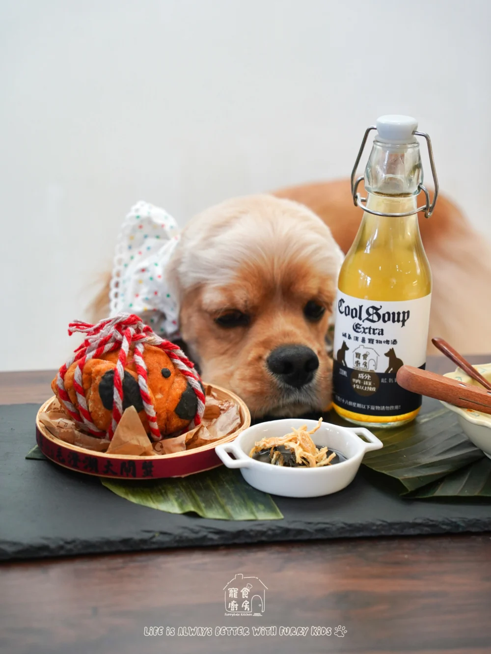 Doggo Fest 2025｜全港最大型狗狗嘉年華11月登陸西九！7千呎玩樂園/音樂表演/美食攤位