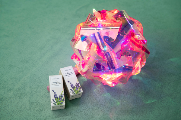 維園中秋綵燈會免費入場！限定和興白花油/活絡油公仔登場