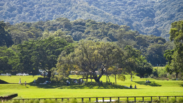 深圳行山新手及老手五大好去處! 飽覽無敵大海景、城市天際線