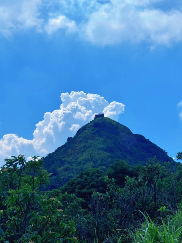 深圳行山新手及老手五大好去處! 飽覽無敵大海景、城市天際線