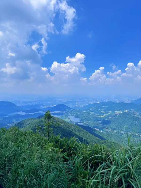 深圳行山新手及老手五大好去處! 飽覽無敵大海景、城市天際線