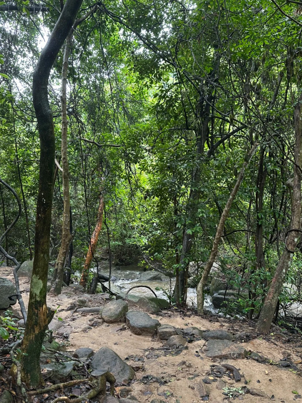 深圳行山新手及老手五大好去處! 飽覽無敵大海景、城市天際線