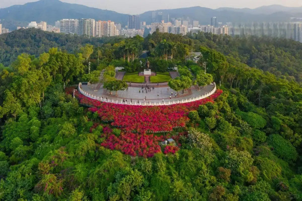 深圳行山新手及老手五大好去處! 飽覽無敵大海景、城市天際線