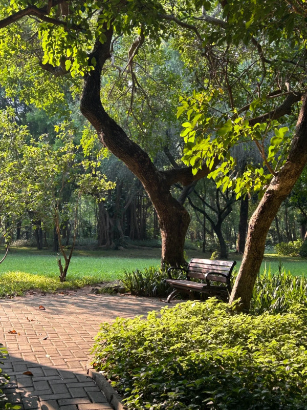 深圳行山新手及老手五大好去處! 飽覽無敵大海景、城市天際線