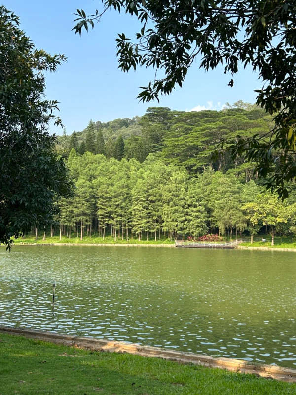 深圳行山新手及老手五大好去處! 飽覽無敵大海景、城市天際線